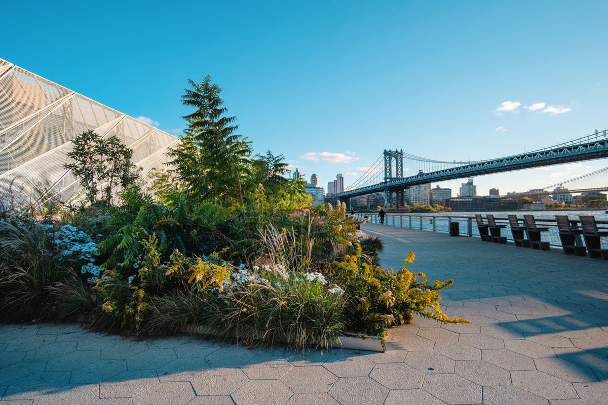 view-of-the-East-River-and-Manhattan-Bridge-from-Pier-35-in-the-Lower-East-Side-of-Manhattan-NYC