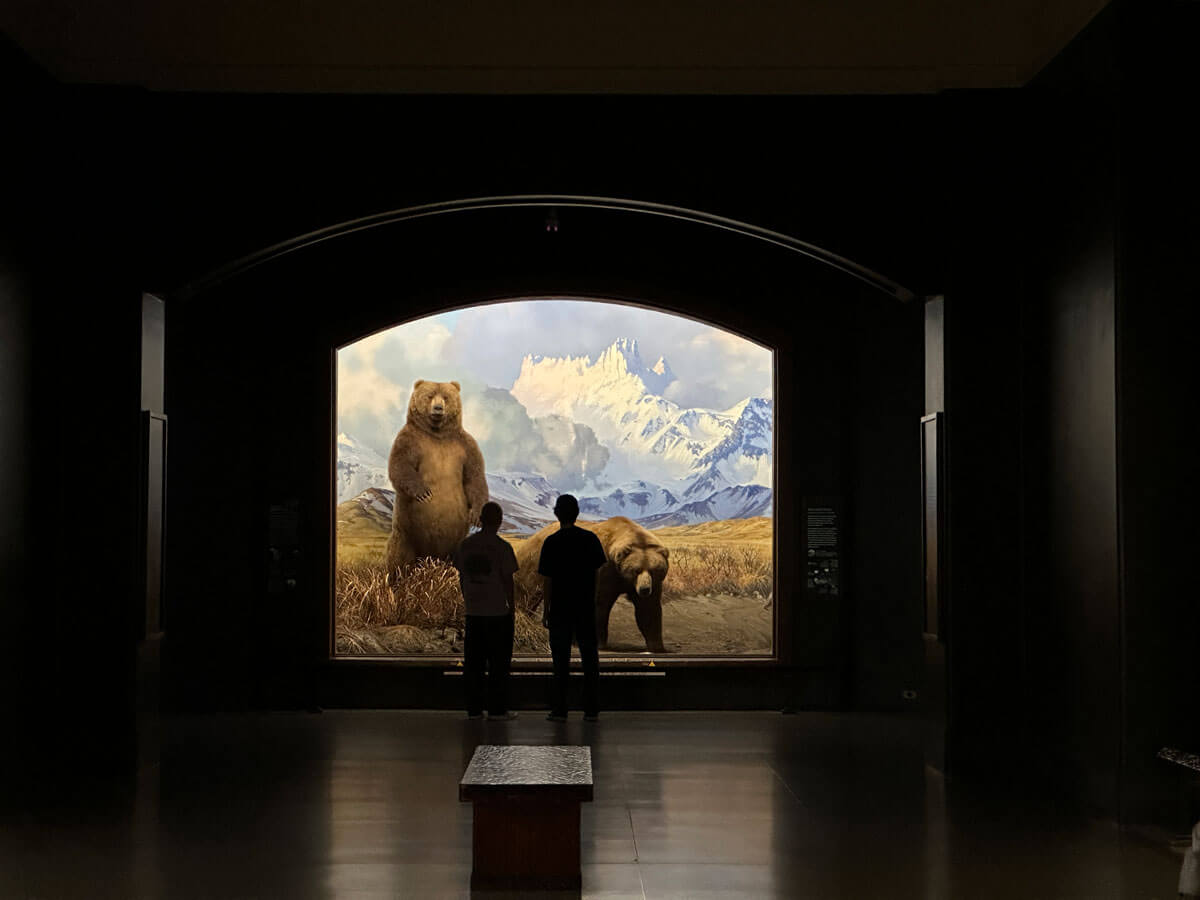 inside-the-American-Museum-of-Natural-History-in-New-York-City-along-Central-Park