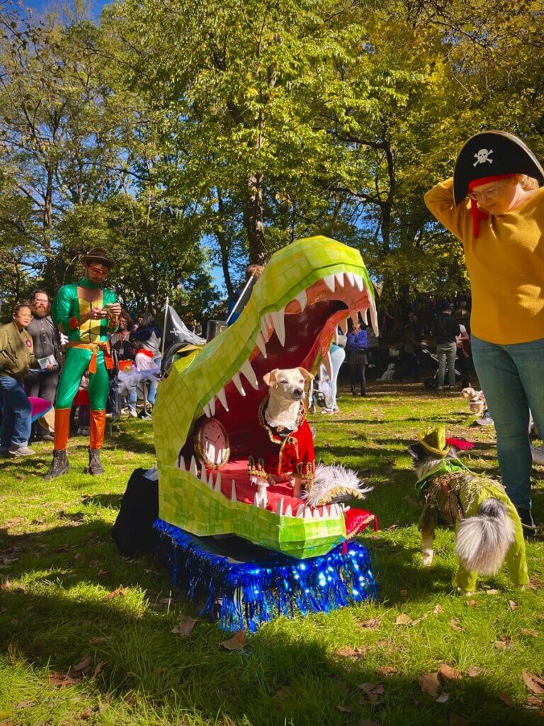 Annual-Fort-Greene-Pupkin-Contest-in-Brooklyn-during-Halloween-season-in-New-York