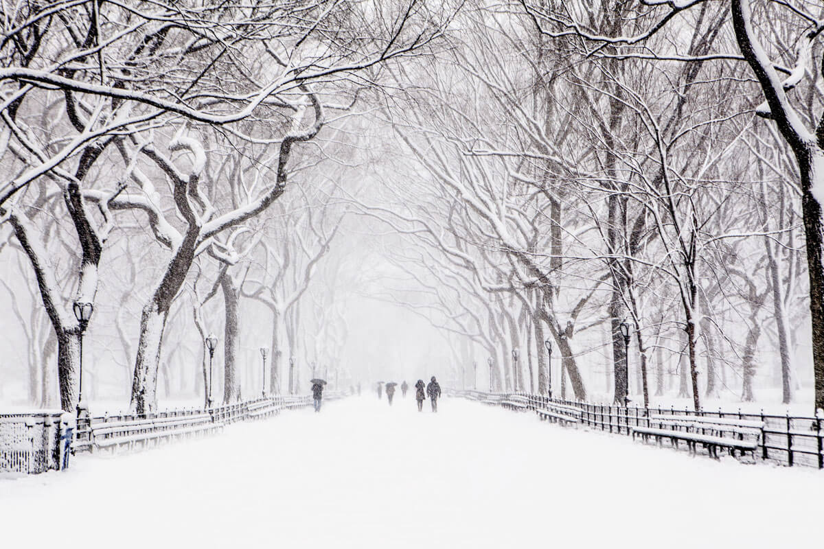 Snowy-Central-Park-in-the-winter-in-New-York